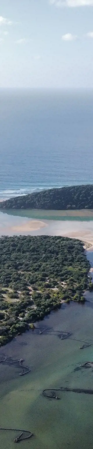 Schnorchle im «Aquarium» in Kosi Bay